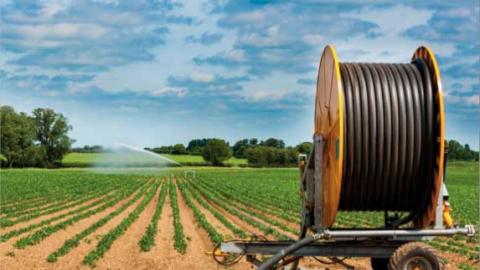 The hose reel is the equipment most used in France for irrigating field crops because of its flexibility of use