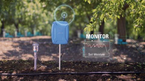 Netafim a déve loppé des solutions de monitoring permettant aux agri culteurs de connaître à chaque instant et en temps réel l’humidité du sol à différentes profondeur, grâce à un système de sondes