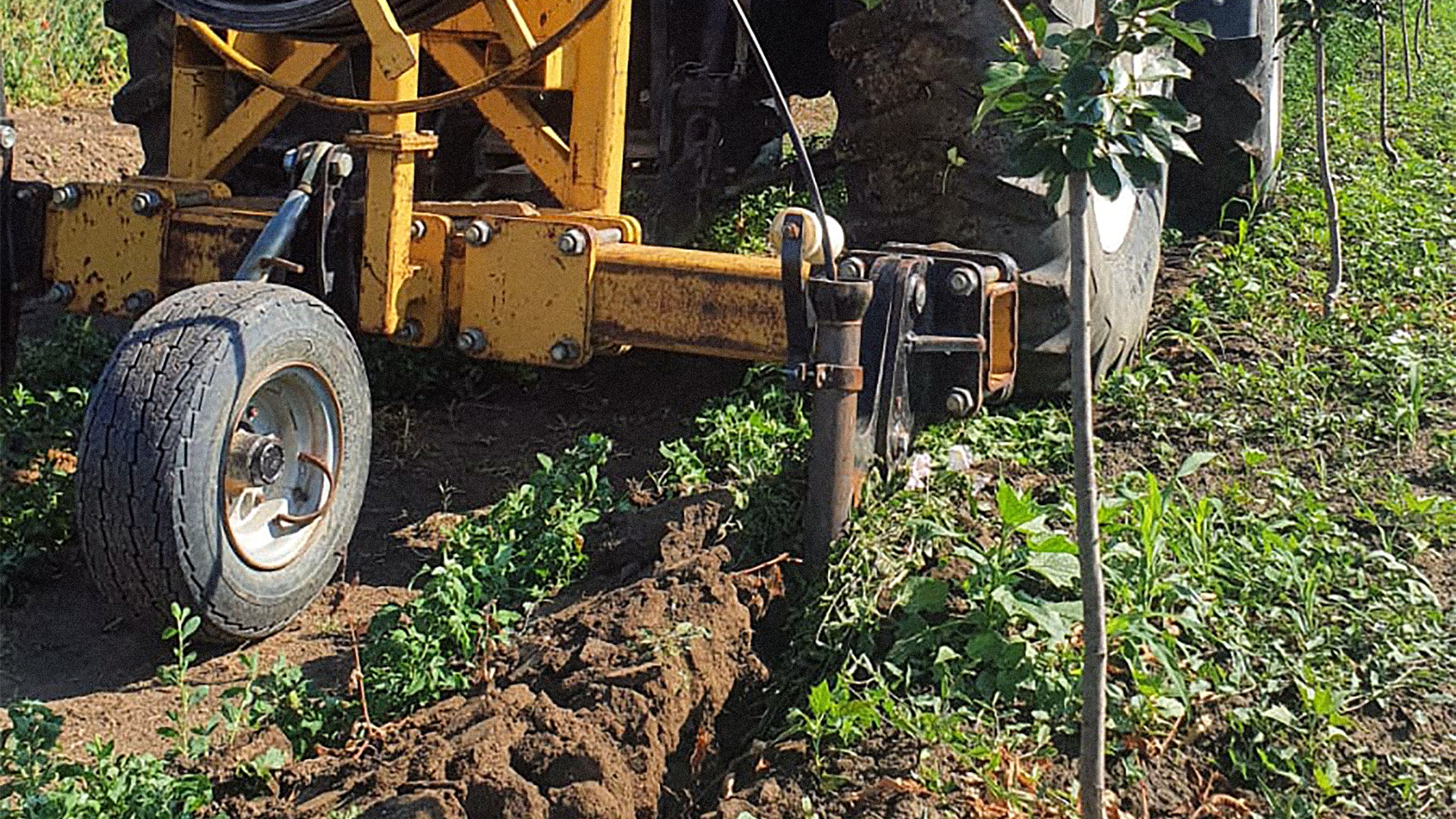 installation d'un système goutte-à-goutte enterré 