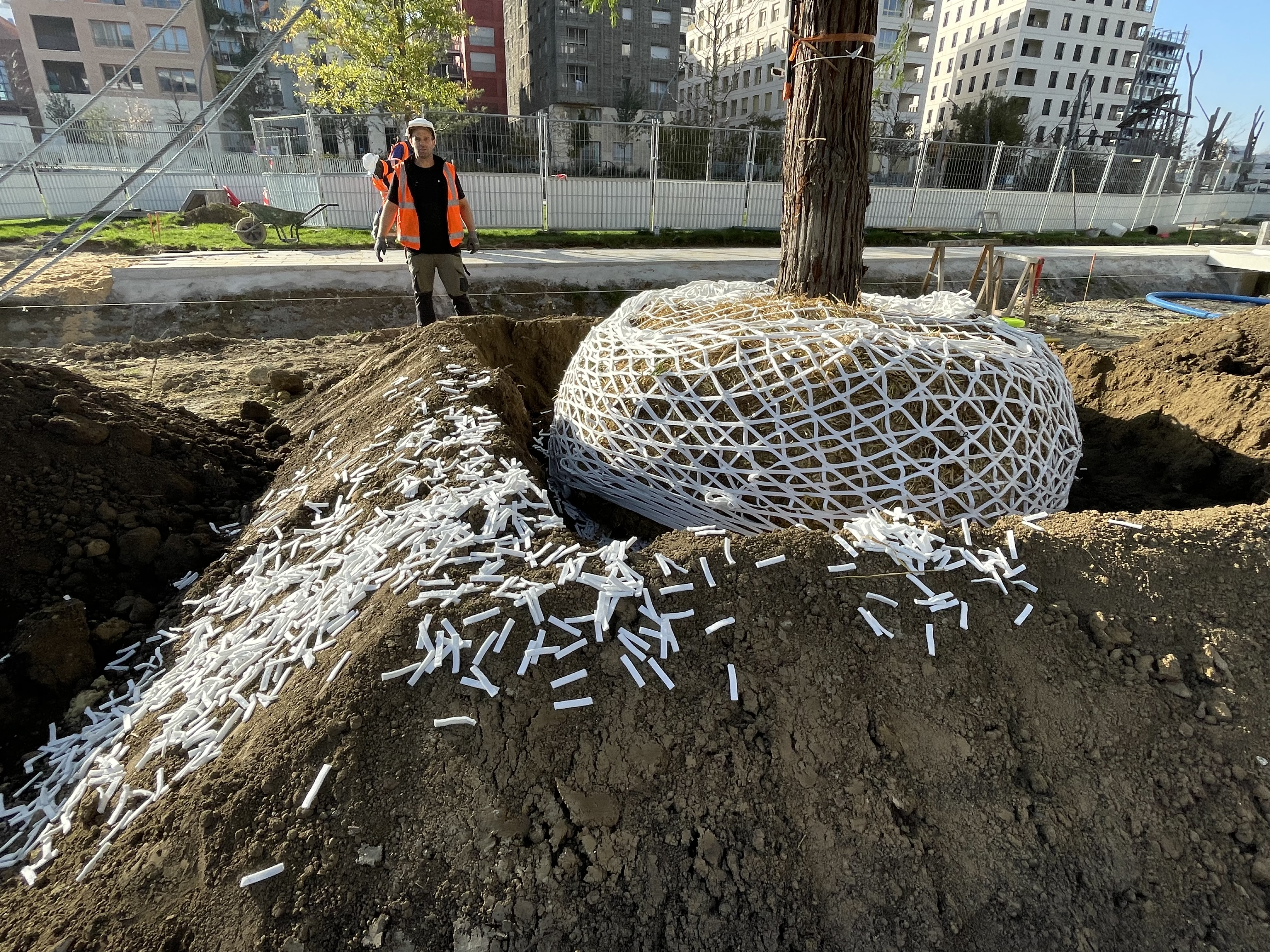 Mais avant de planter, une natte hydratante de type Lite-Net standard BIO5 a été installée autour de chaque motte.
