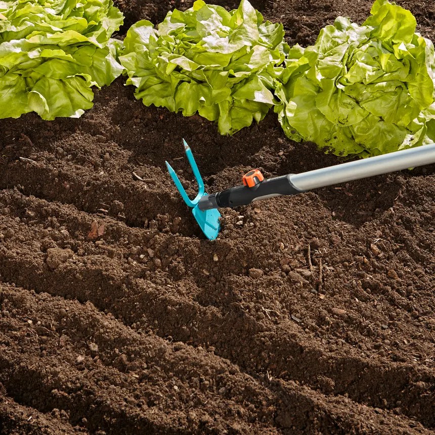 La santé du sol est la base d’un potager productif. Il est inutile de retourner profondément la terre : il   faut simplement l’aérer et l’ameublir pour respecter la vie souterraine des verres de terre et des micro-organismes