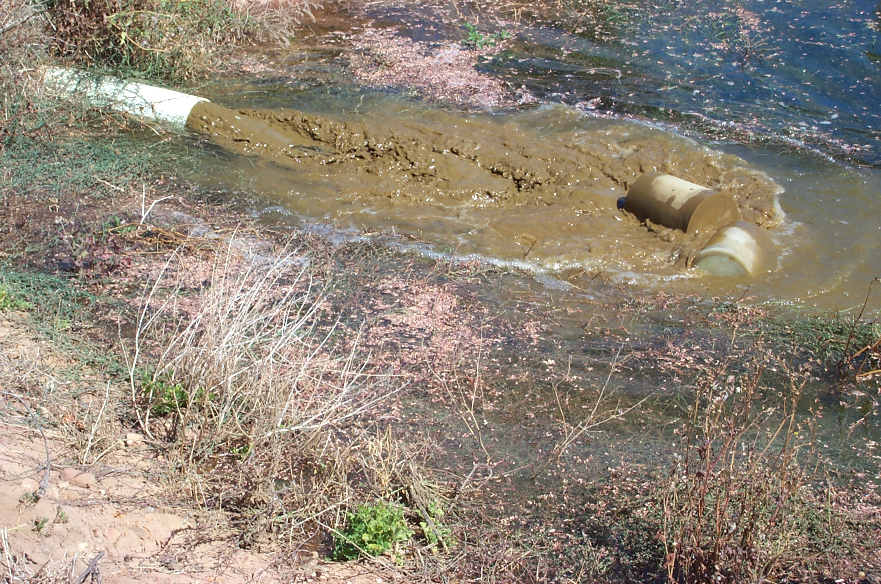 Pigging pipelines
