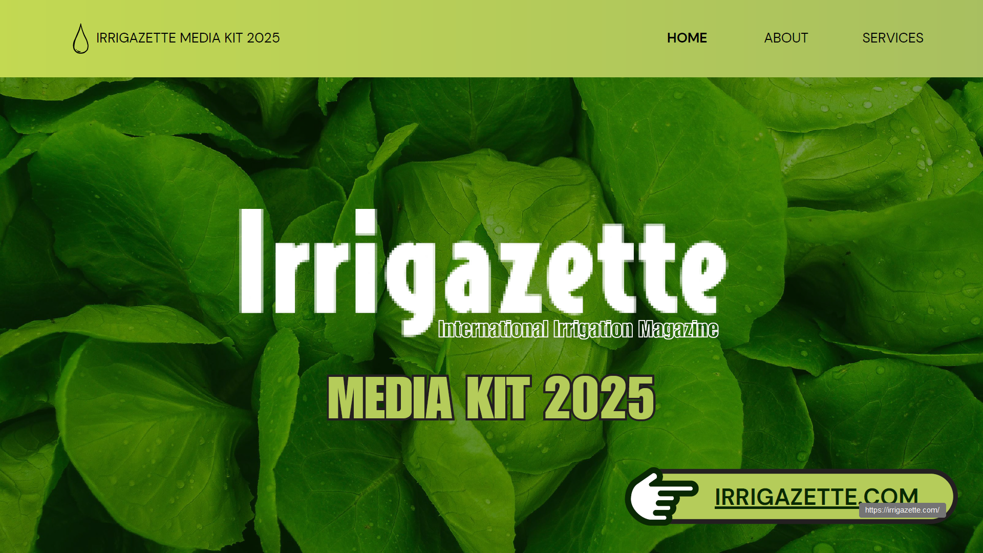 media kit 2025