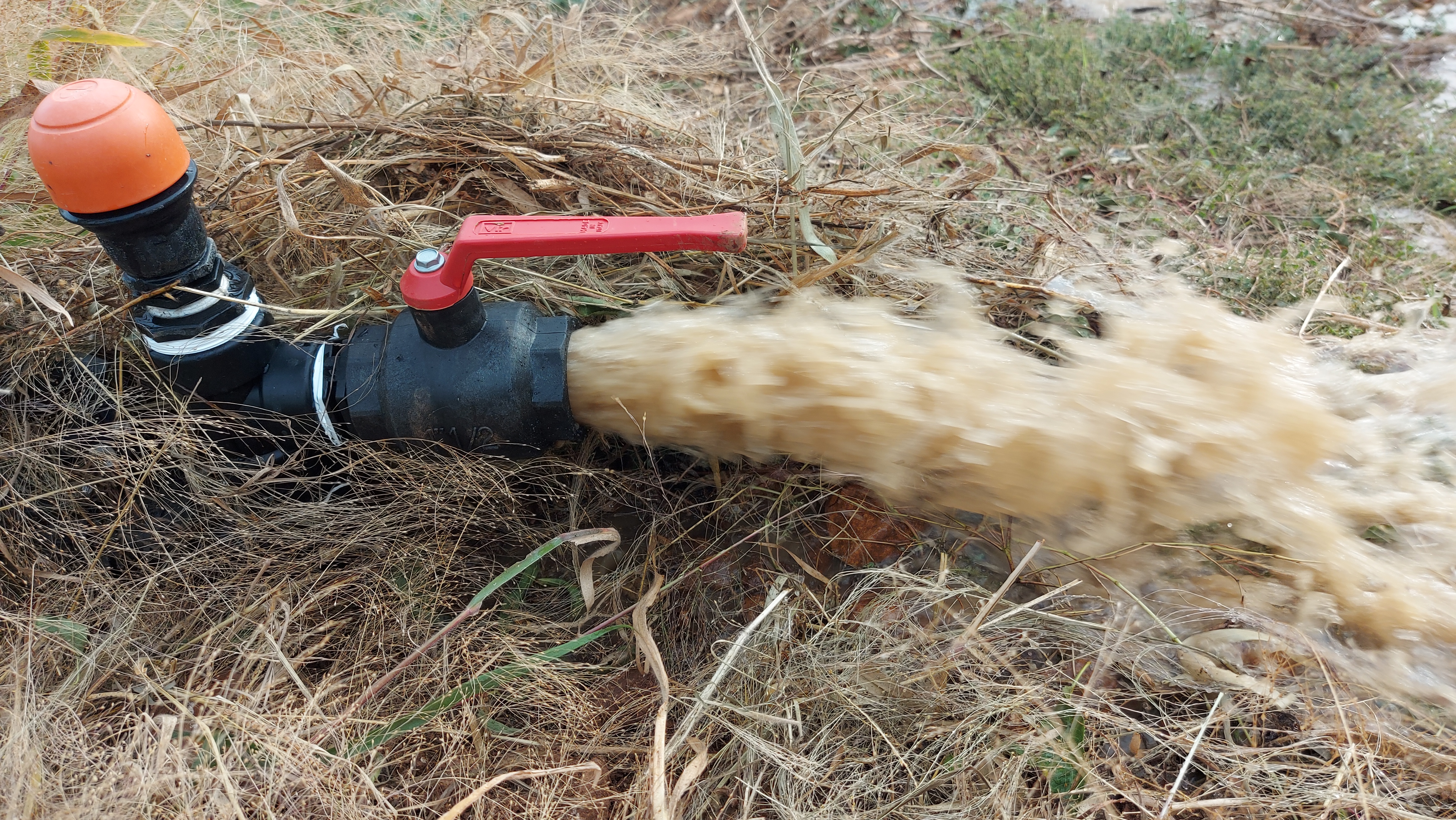 des purges périodiques indispensables