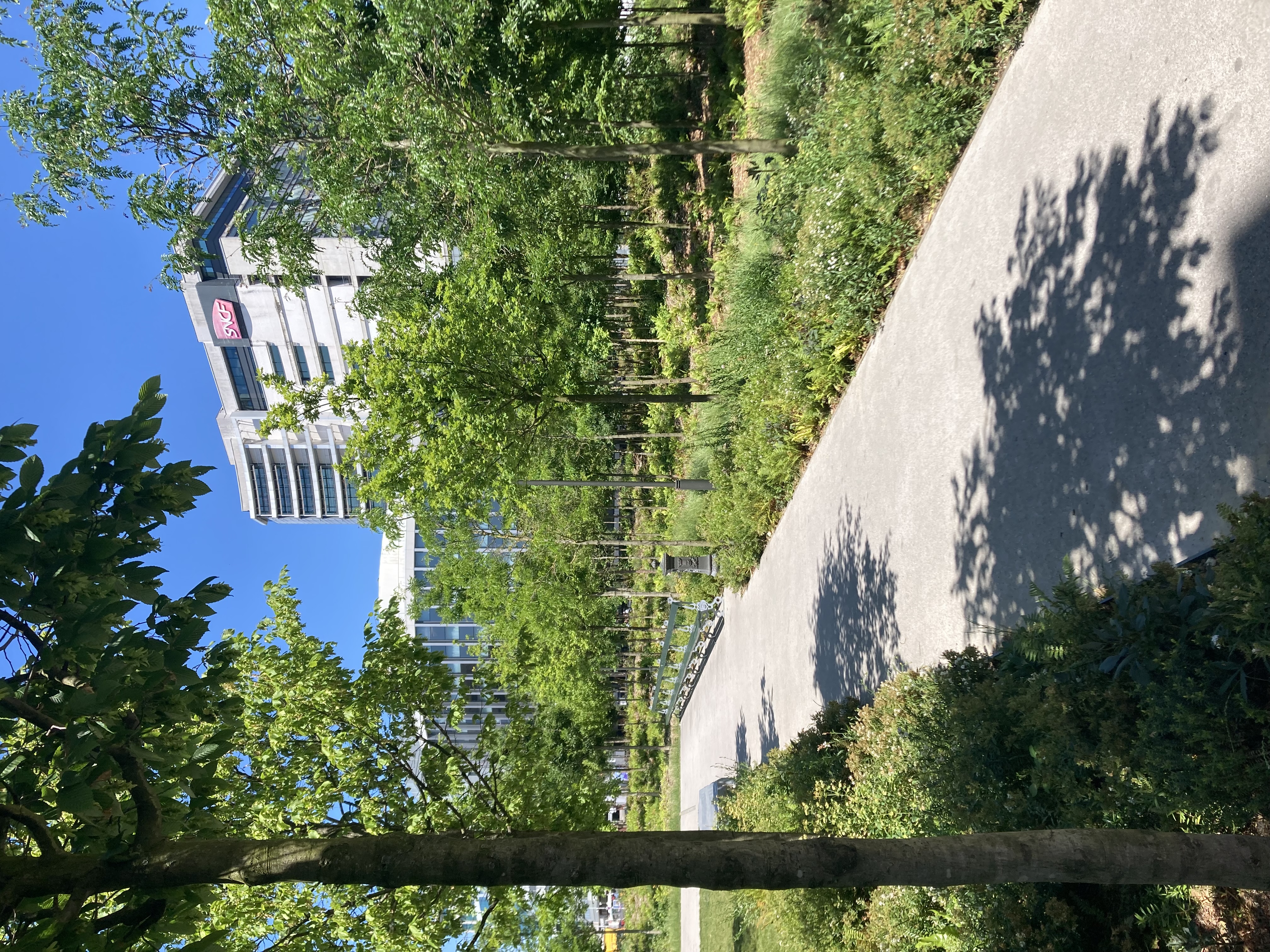 photo Irrigazette - forêt urbaine place de Catalogne