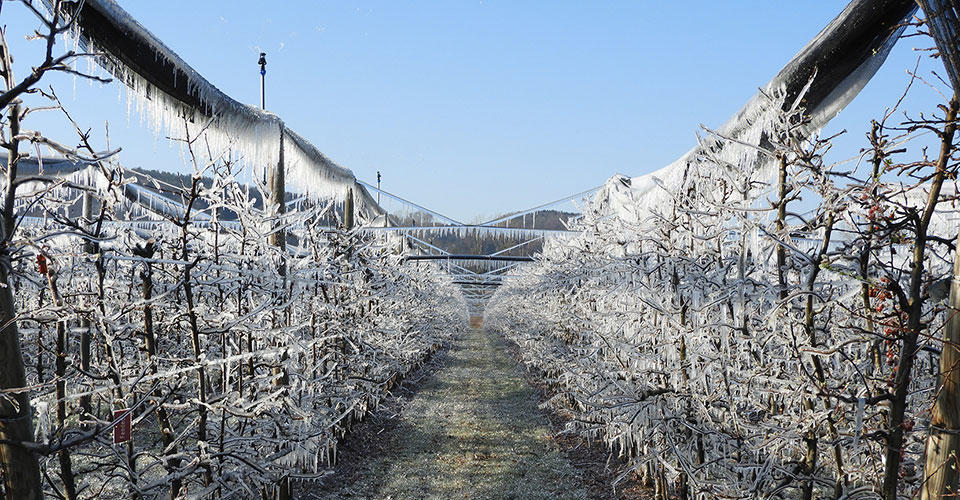 xcel-wobbler-frost-protection-austria_1.jpg