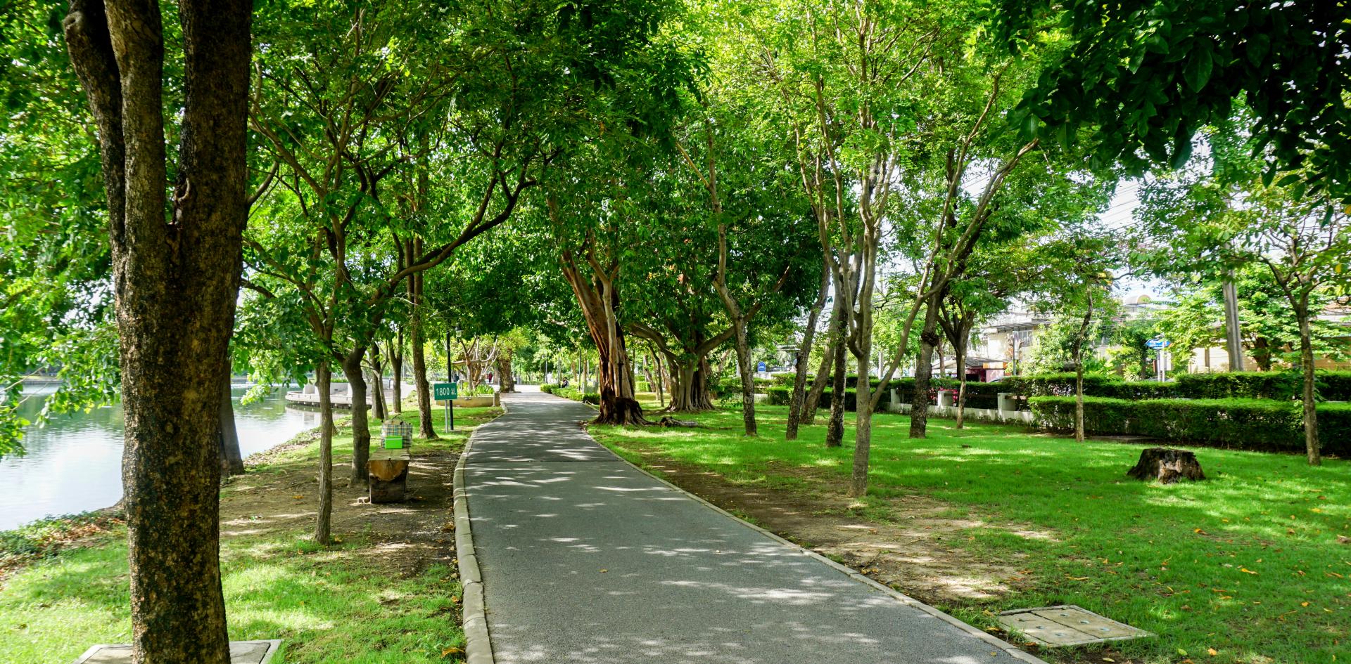 Optimiser l'irrigation en milieu urbain : les exemples de Sabadell et Paris