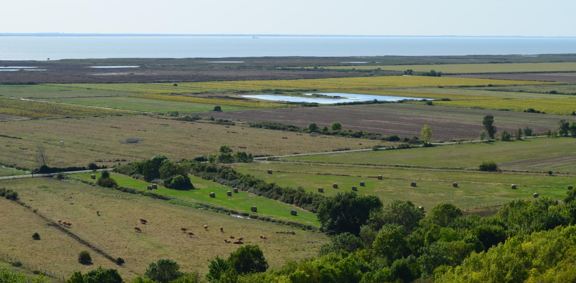 Exceptional Groundwater Recharge Gives Water Resources a Much-Needed Boost