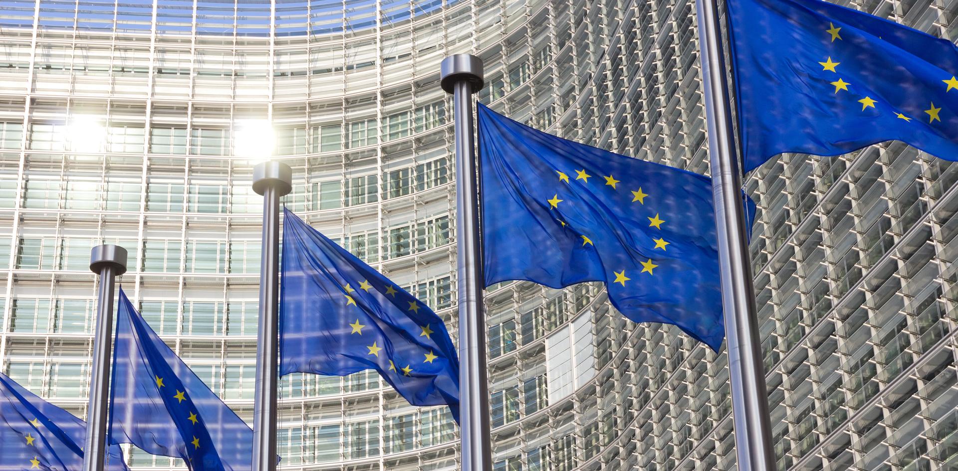 Projet de simplification de la taxonomie européenne