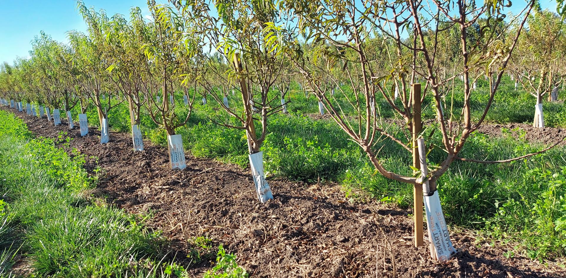 How to succeed its SDI installation ?