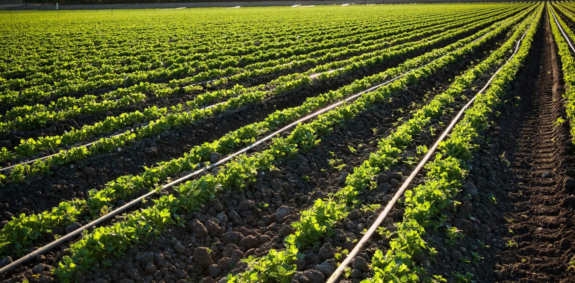 a new visual identity for the Irex Group brands