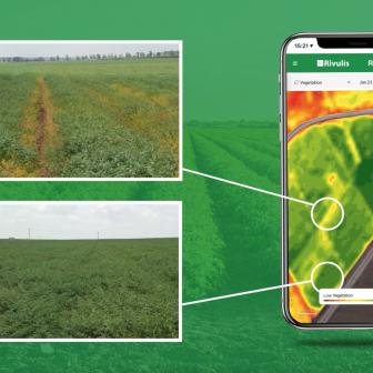 Rivulis offers a free service toits customer growersfor monitoring crops and detecting irrigation issues with satellite imagery.