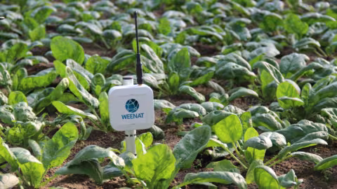 Weenat acquires CoRHIZE