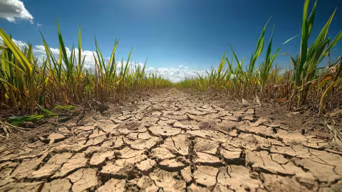 Northern Europe is in the grip of an exceptional drought