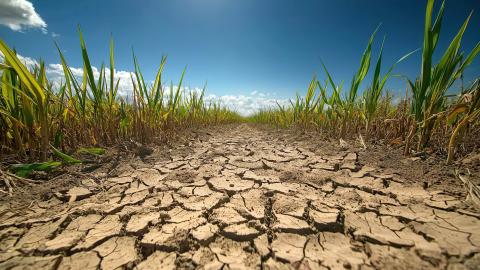Northern Europe is in the grip of an exceptional drought