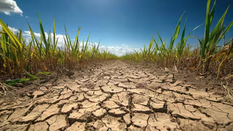 la France veut accélérer le stockage de l’eau pour l’agriculture