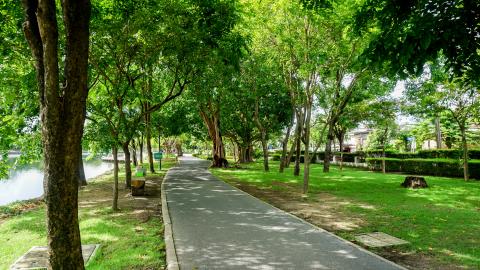 Optimiser l'irrigation en milieu urbain : les exemples de Sabadell et Paris