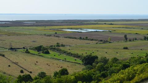 Exceptional Groundwater Recharge Gives Water Resources a Much-Needed Boost