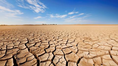 Météo. Sols secs, restrictions d’eau : où en est la sécheresse en France ?