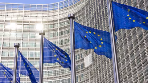 Projet de simplification de la taxonomie européenne
