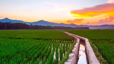 The 26è International Congress on Irrigation and Drainage