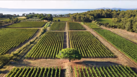 Optimisation de l’usage de l’eau, gestion des sols et pratiques culturales au service de la résilience de l’agriculture provençale