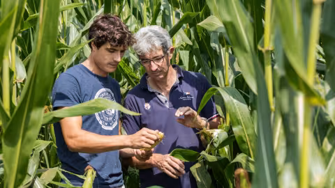L'irrigation au goutte-à-goutte a été le moteur de la transition vers l'irrigation de précision