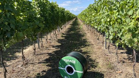 subsurface drip irrigation for vineyards 