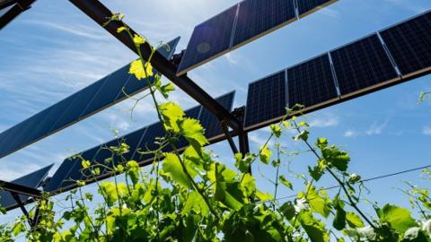 Call for articles on Irrigazette.com