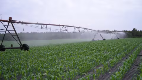 L’irrigation par pivot est connue pour être l’une des méthodes d’irrigation les plus efficaces.