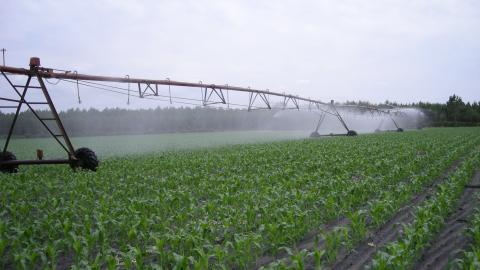 Center pivot irrigation is known for being one of the most efficient methods of irrigation.