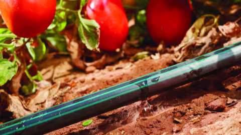 Irritec : eXXtreme Tape®    