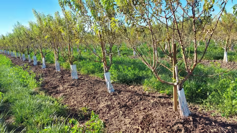 moderniser les pratiques d’irrigation dans l’UE