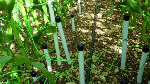 L’optimisation de l’irrigation constitue un des leviers pour s’adapter à la sécheresse pour les 1,5 millions d’hectares irrigués en France Quand elle est bien conduite, celle-ci génère un gain de rendement par rapport à une culture non irriguée.