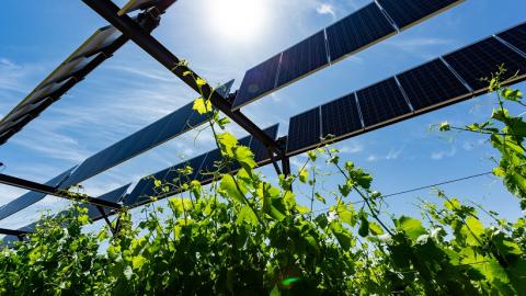 EIA AUTUMN  IRRIGATION FORUM  