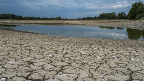 Cet été, quasiment tous les cours d'eau du continent européen se sont asséchés.