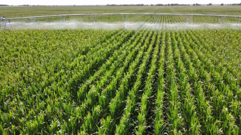 Securing Harvests with irrigation systems