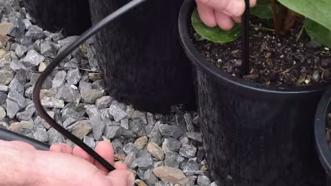 Reliable water delivery starts with the right dripper