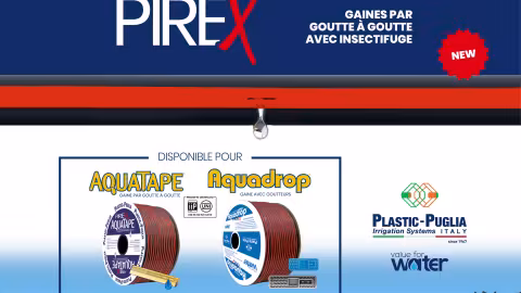 Pirex of Plastic-Puglia