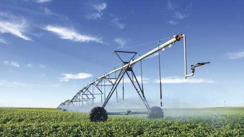 Combining drip irrigation with sprinkler nozzles and with pivot irrigation.