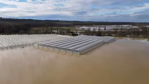 flood