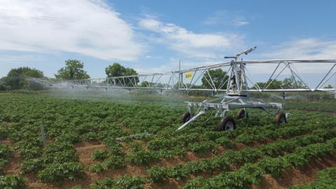 Irrigation booms for hose reel irrigation machines