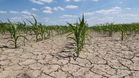 catastrophes climatiques