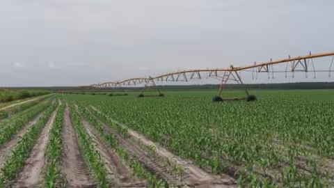L’option agricole refait progressivement surface. En effet, du fait même de leur existence, les exploitations agricoles constituent des pare-feux efficaces et bien entretenus.