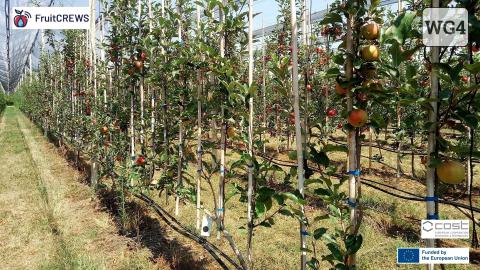 Water-Smart Irrigation in European Fruit Orchards 