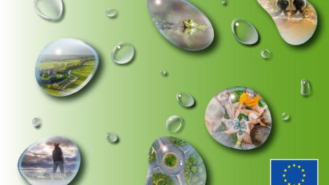 Table ronde Irrigant d'Europe