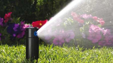 Watering Grass: A Comprehensive Guide To Watering Your Lawn