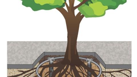 Irritree : Deeper Roots. Greener Cities