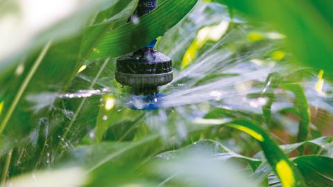 Il est essentiel de se rappeler que la partie la plus importante du système d’irrigation pour l’alimentation en eau du système racinaire, est le sol lui-même.