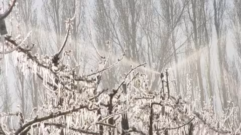 Even properly winterized systems are subject to damage from extreme condistions